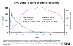 THC_sang_oral_fume.png